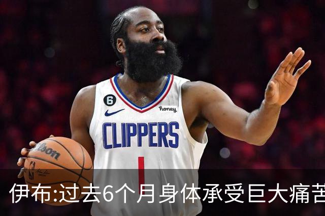 伊布:过去6个月身体承受巨大痛苦 只为帮球队夺冠